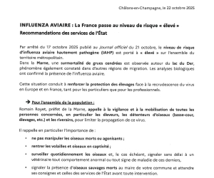 aviaire