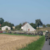 liberation 2019