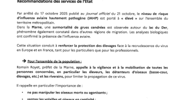 aviaire